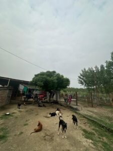 whatsapp image 2026 05 11 at 12.42.03 pm (8)