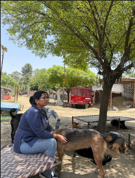 HIFAZAT NGO shelter management and rescued animal care facilities