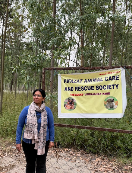 HIFAZAT animal shelter providing safety care and rehabilitation for rescued dogs